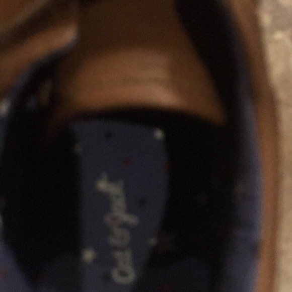 Cat - Picture 4 of 8